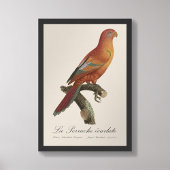 Impression Photo Le Perruche écarlate