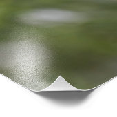 Impression Photo Le poulet en neige sur un cèdre (Coin)