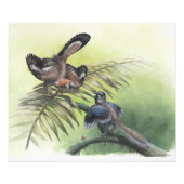 Impression Photo Le premier oiseau (Devant)