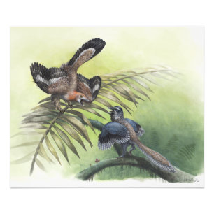 Impression Photo Le premier oiseau