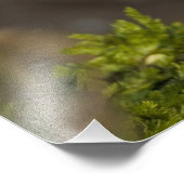 Impression Photo Le Puffin Atlantique, un oiseau marin pélagique (Coin)