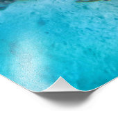 Impression Photo Le récif de Bonairean (Coin)