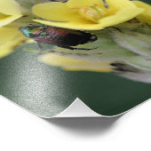 Impression Photo Le scarabée Sur La Fleur Mullein Sauvage Fermer 8x (Coin)