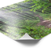 Impression Photo Le sentier de la Forêt de Misty à Castle Mound (Coin)