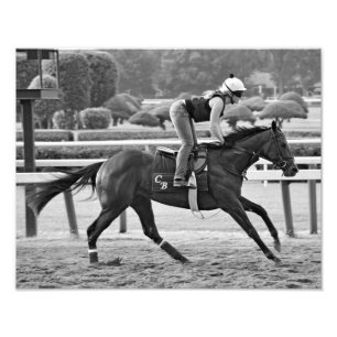 Impression Photo Le Tchad Speedball Brown