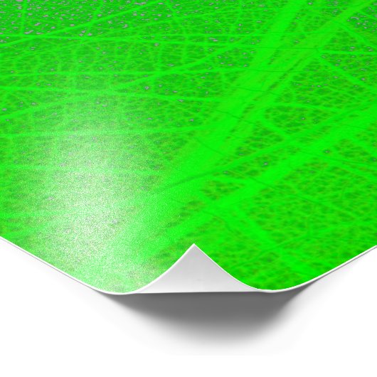 Impression Photo Leaves veins over the city skyline - Abstract (Coin)