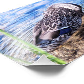 Impression Photo L'effet Grooming (Coin)