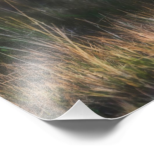 Impression Photo Leopard Cub Panthera Pardus (Coin)