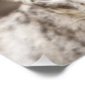 Impression Photo Léopard des neiges (Coin)