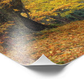 Impression Photo L'érable d'automne surplombant la voie de campagne (Coin)