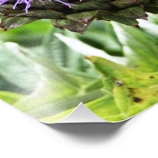 IMPRESSION PHOTO LES ABEILLES (Coin)