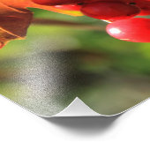 Impression Photo Les canneberges sauvages (Coin)