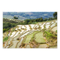 Les célèbres terrasses de riz yuanyang - Yunnan, C