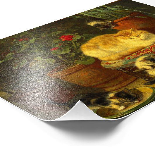 Impression Photo Les chatons en jeu (Coin)