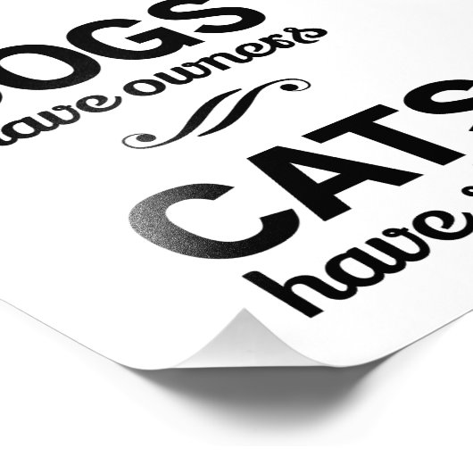 Impression Photo Les Chiens Ont Des Propriétaires, Les Chats Ont Du (Coin)