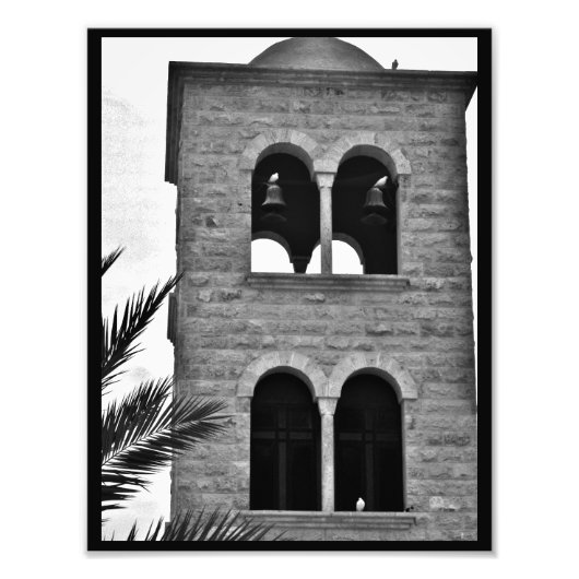 Impression Photo Les colombes et les pigeons (Devant)