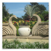 Les cygnes gardent Hollis Gardens sur un