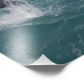 Impression Photo Les dauphins des Caraïbes (Coin)