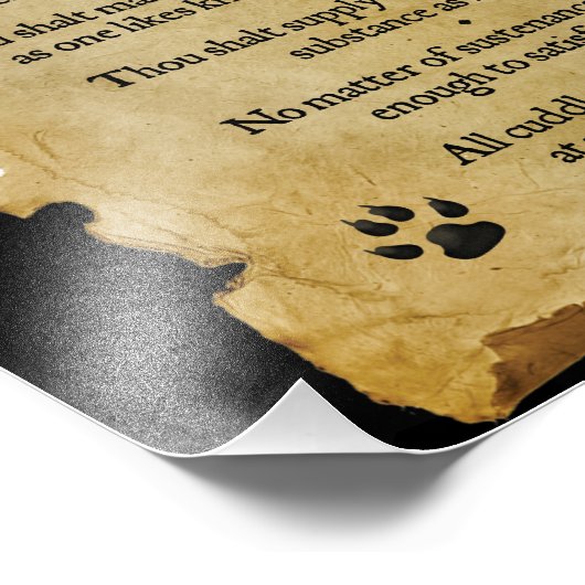 Impression Photo Les dix commandements du chat (Coin)