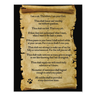 Impression Photo Les dix commandements du chat