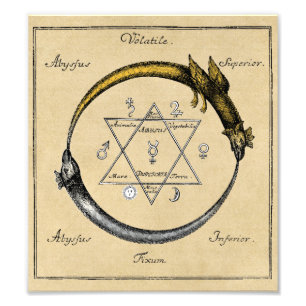 Impression Photo Les dragons Ouroboros de Homer