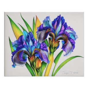 Impression Photo Les fleurs d'Iris, les belles fleurs de printemps