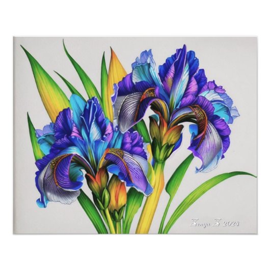 Impression Photo Les fleurs d'Iris, les belles fleurs de printemps (Devant)