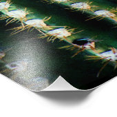 Impression Photo Les fleurs d'un Saguaro (Coin)