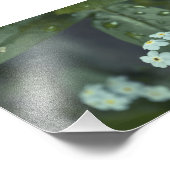 Impression Photo Les gouttes de pluie continuent à tomber (Coin)