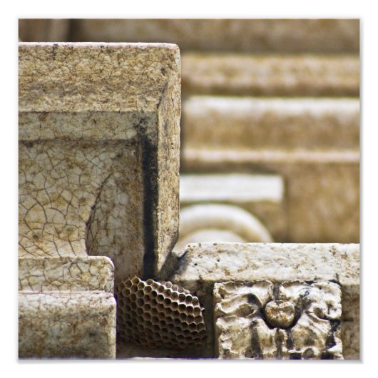 Impression Photo Les grands architectes (Devant)