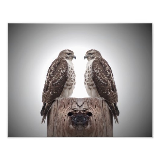 Impression Photo Les Hawks en poste (Devant)