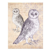Impression Photo Les hiboux vous regardent Collage Vintage (Devant)