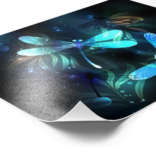 Impression Photo Les libellules du lac (Coin)