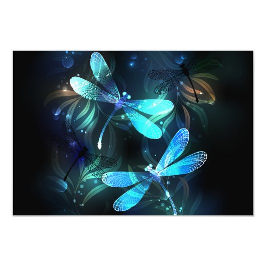 Impression Photo Les libellules du lac (Devant)