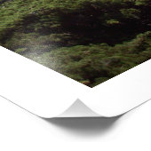 Impression Photo "Les Lingers de l'Arbre Lone" Monterey Comté (Coin)