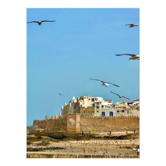 Impression Photo Les mouettes et la ville. - Essaouira, Maroc