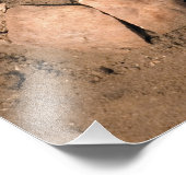 Impression Photo Les restes humains (Coin)