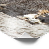 Impression Photo Les richesses (Coin)