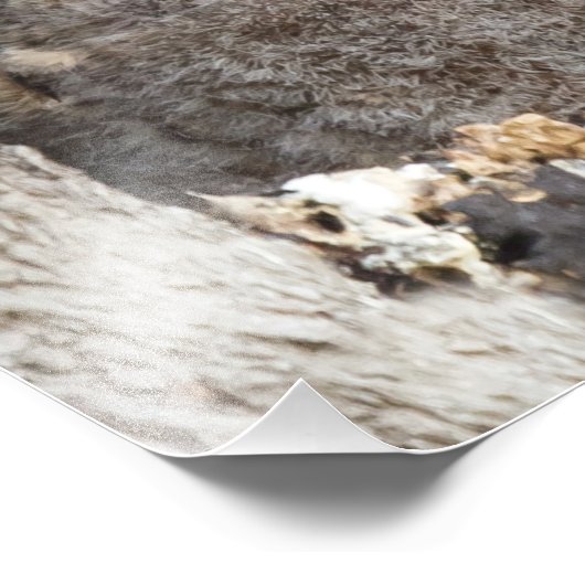 Impression Photo Les richesses (Coin)