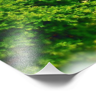 Impression Photo Les rives de Chicago Beach