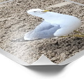 Impression Photo Les Saguls Sur La Plage (Coin)