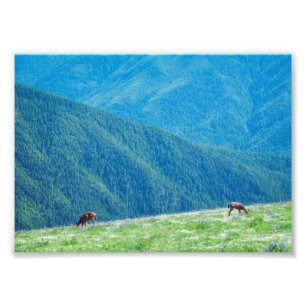 Impression Photo Les seaux au pied des montagnes