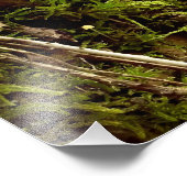 Impression Photo L'espoir monte (Coin)