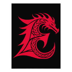 Impression Photo Lettre E de style dragon, alphabet du dragon, mono