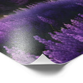 Impression Photo Levée solaire de Purple Mountain Valley (Coin)