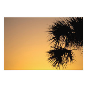 Impression Photo Lever du soleil des palmiers, Floride
