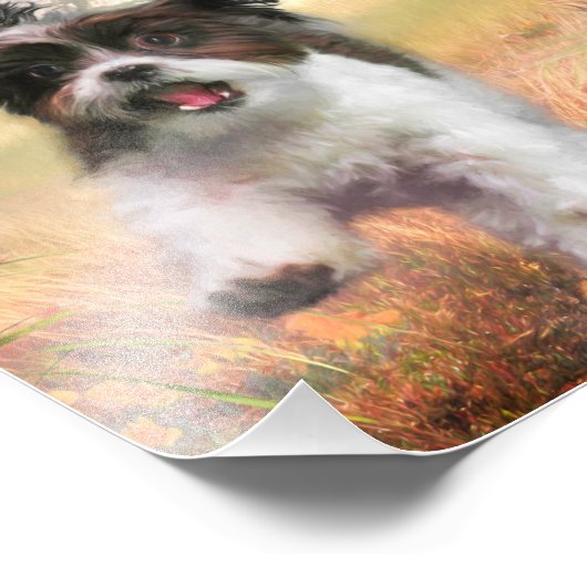 Impression Photo Lhasa Apso Chien HIGH TAIL HOME (Coin)