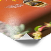 Impression Photo L'heureuse bourde (Coin)