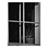 Impression Photo "L'histoire a disparu" (Devant)