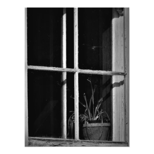 Impression Photo "L'histoire a disparu" (Devant)